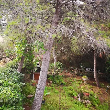 In Arboriamar *