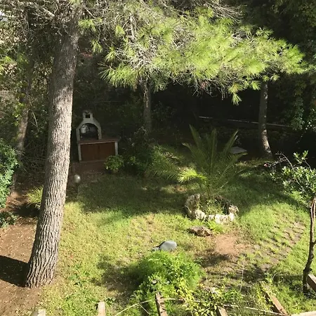 In Arboriamar *